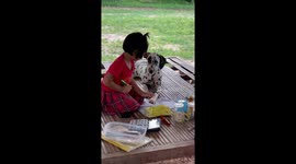 Playful pet Dalmatian interrupts schoolgirl as she tries to do homework