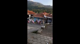 Escaped sacrificial cow disrupts prayer in Bantarkawung, Indonesia
