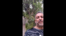 Parrot Imitates Animal Sounds