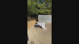 Bugatti Table Cloth Pull