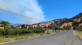US: Toll Fire Breaks Out Near Calistoga In Napa County, Prompting Evacuations