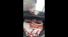 Pet cat goes to work with food delivery rider