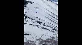 Video reveals shocking aerial bear hunt in Kamchatka, Russia