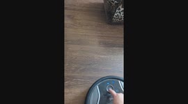Blue Heeler Flips Robot Vacuum