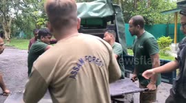 Heroic efforts by forest department: hog deer rescued, including 42 animals rescued, amidst flood crisis in northeastern India