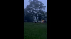 Asian black bear steals item from campsite