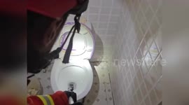 Firemen catch snake in family's toilet in China