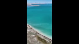 Sheep graze near largest lake in China's Xizang