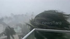 Hurricane Beryl: Powerful winds sway palm trees in Montego Bay, Jamaica