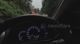 Cheeky baby elephant rubs its BOTTOM on couple's car