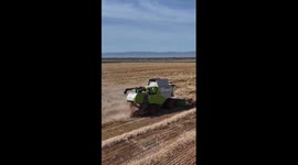 Modern machinery helps harvest wheat in China's Xinjiang