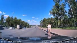 Family of ducklings rescued on Moscow roadway amid traffic