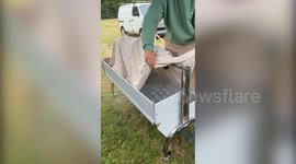 Shocking animal protest of 'dog roast' stuns Henley Royal Regatta attendees