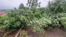 Wind dominates as hurricane Beryl nears Jamaica