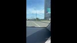 Frightened moose disrupts traffic near mega shopping center in Khimki