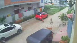 Pack of stray dogs attack child playing outside home in India