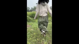 Donkey chases owner through field as she poses for video