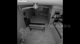 Dog Starts Kitchen Fire In Colorado Springs