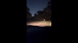 Randonautica app adventure: Friends encounter cops and strange creature in San Antonio