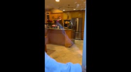 Yiayia's lesson: Viral TikTok video warns about ignoring calls