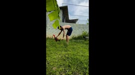 The man used his fingers to control the rooster following the gesture
