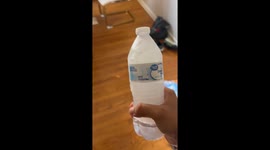 TikToker has chilly water bottle mishap in frozen fiasco