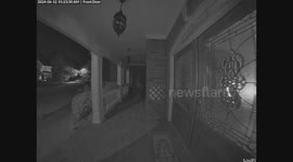 Atlanta kitten's coyote confrontation leads to 'furever' home