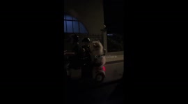 Warm encounter with a fluffy Samoyed delights passing driver