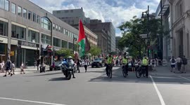 Pro Palestine protest in downtown Montreal