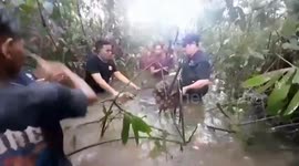 Heroic action to save orangutans in Indonesia who were trapped in the midst of floods in Kalimantan