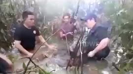 Heroic action to save orangutans in Indonesia who were trapped in the midst of floods in Kalimantan