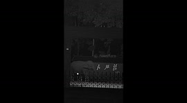 Wild Asian elephants venturing into police station in Yunnan, China