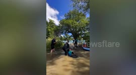 Hilarious footage shows giant dog trying to flee his owner - on a paddle board