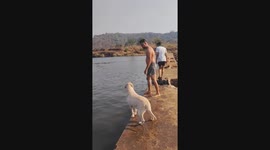 Dog Jenny's lifesaving loyalty: swimming to rescue owner Mitesh