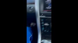 Dog Jumps Out of Moving Car's Window
