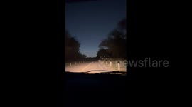 Randonautica app adventure: Friends encounter cops and strange creature in San Antonio