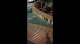 Wild boar and pigets rooting in Mijas streets