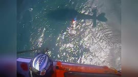 USA: Coast Guard Rescues Five from Capsized Boat in Lake Erie