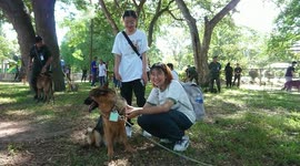 Thailand: Thai dog lovers flocked to K9 auction as a result of the recent dog adoption trend
