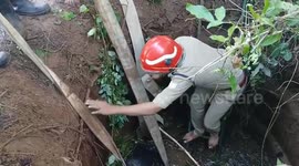 India: Buffalo rescued from deep well in southern India by fire and rescue team