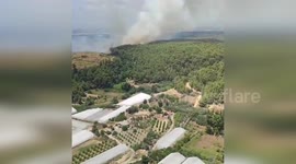 Turkey: Antalya's Aksu Battles Intense Forest Fire: Aerial and Ground Forces Mobilized
