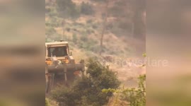 Turkey: Firefighters Battle Wildfires in Kepsut Alongside Bornova and Pazarcık