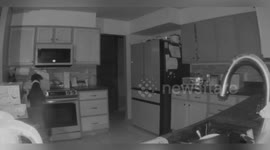 USA: Dog Sparks House Fire in Colorado Springs Homeowner's Kitchen