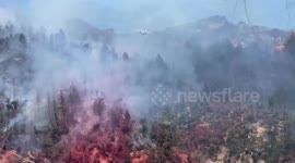 USA: Toll Fire Threatens Calistoga: 50 Acres Scorched, Zero Containment Amid Steep Terrain Battle