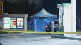 USA: Fatal Hit and Run Auto vs Pedestrian in Adams Normandie