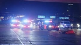 USA: 2 Horses Killed 1 Saved in Freeway Crash in Sylmar