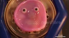 Japan: Robot's Bio-Inspired Skin Smiles with Lifelike Expression