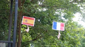 Psychic lion predicts France will beat Spain in Euro 2024 semi finals
