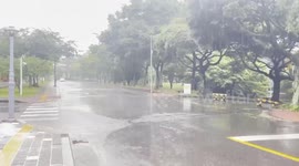South Korea: Heavy rains, strong winds lead to suspension, delay of flights, ships in S. Korean area