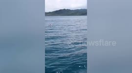 Worker who paddled in sea to cool off rescued after floating for 19 hours on rubber ring